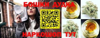 индика Краснознаменск