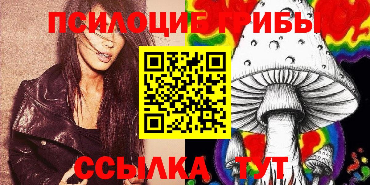 Галлюциногенные грибы Psilocybine cubensis  где купить   Зима  Вход с VPN 