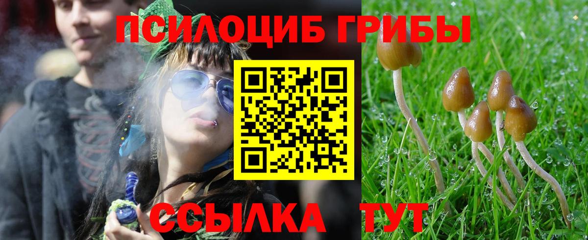 Псилоцибиновые грибы Magic Shrooms Зима